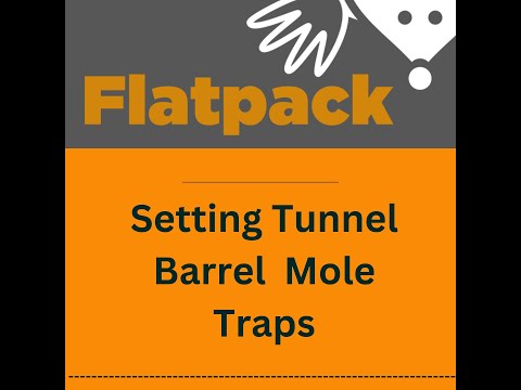 Setting Tunnel Mole Traps