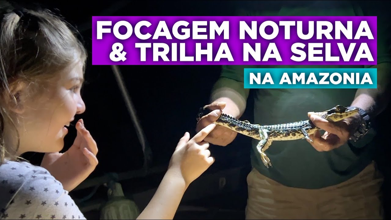 Como é a focagem noturna na Amazonia - Mirante do Gavião Amazon Lodge | Viagem com Crianças