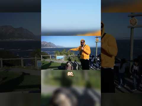 No Froooont @Rohatc 😂💀| #alexis #edizderbreite #rohat