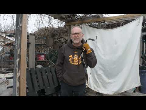 TopArchery Take Down Tartar , backyard shooting . blank butt.