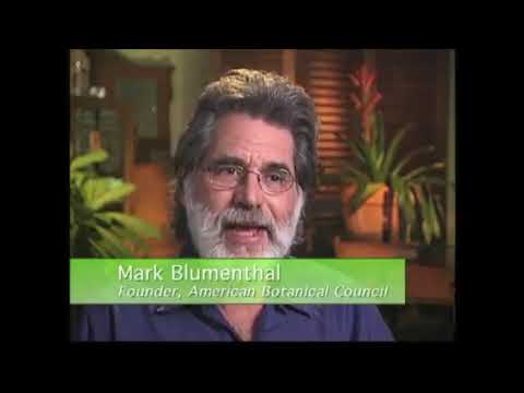 Echinacea Benefits - Echinacea Dosage