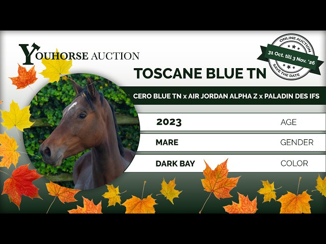 Toscane Blue TN