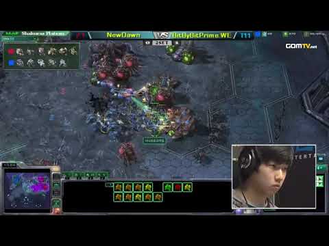 2010 GSL Season 3 Ro32 Match 5 Set 2   NewDawn vs BitByBit