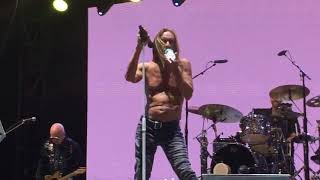 Iggy Pop "Some Weird Sin" and Mosh Pit Action.