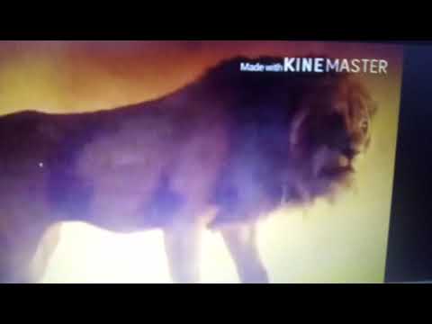 Trainladdin part 11 a narrow escape