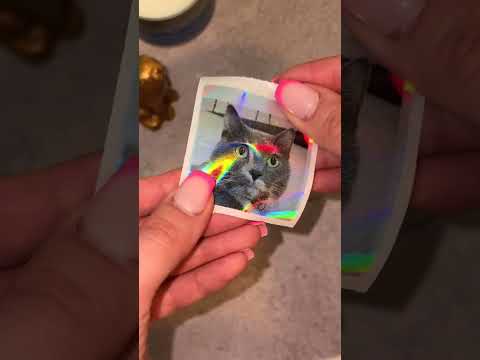 HELLO BLINK REFILL FOIL