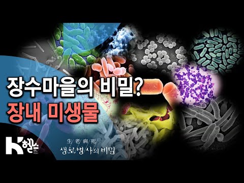 장수마을 사람들의 건강을 가른 장내 미생물