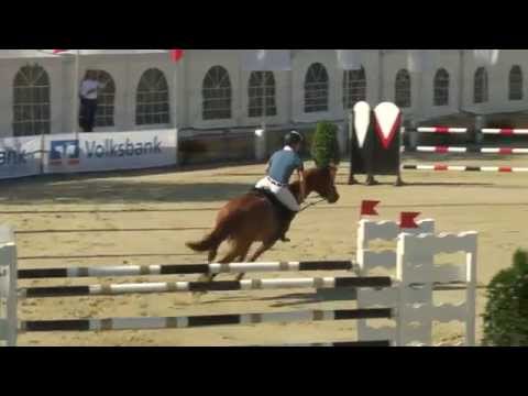 Schutterwald 2015 Prf37 10 Tobias Schwarz   Caramello d'Oro