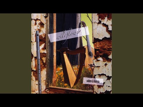 download lagu mp3 mp4 Adam B Harris Shule Aroon, download mp3 Adam B Harris Shule Aroon free downloadn, video klip Adam B Harris Shule Aroon