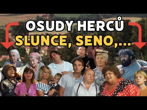 Jak dopadli herci z trilogie Slunce, seno, ...?