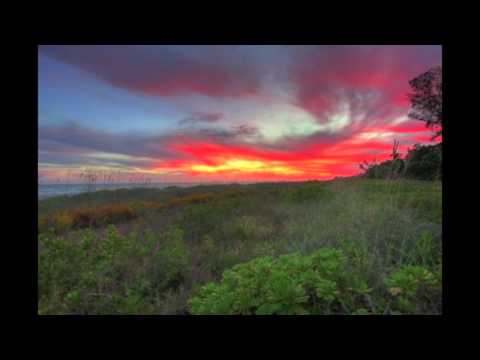 Love the Fear of Free Falling (Aruna Mashup) - Temple One, Neev Kennedy, Cosmic Gate feat. Aruna