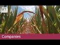 Cargill On Trump And Trade Companies