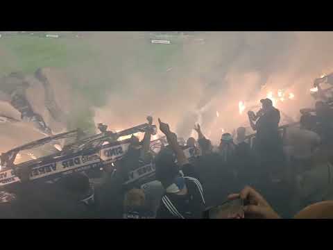 Hertha Ultras in Action in Düsseldorf  2023