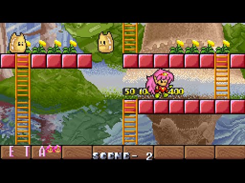 Rod Land Longplay (Arcade) [QHD]