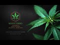Industrial Hemp Conversation with Mystic Farms Industrial Hemp Conversation with Mystic Farms