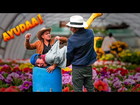 The boss refuses to accept my help and look what happens