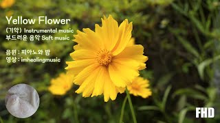 부드러운 음악 Soft music (Yellow Flower (기악) - 피아노와 밤)