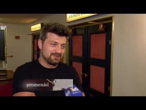 Videó előnézet