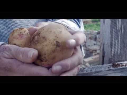 Xarulù - Smells Like a Relic