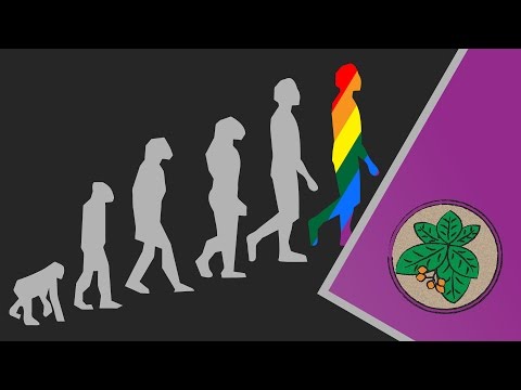 Why does Homosexuality Evolve?