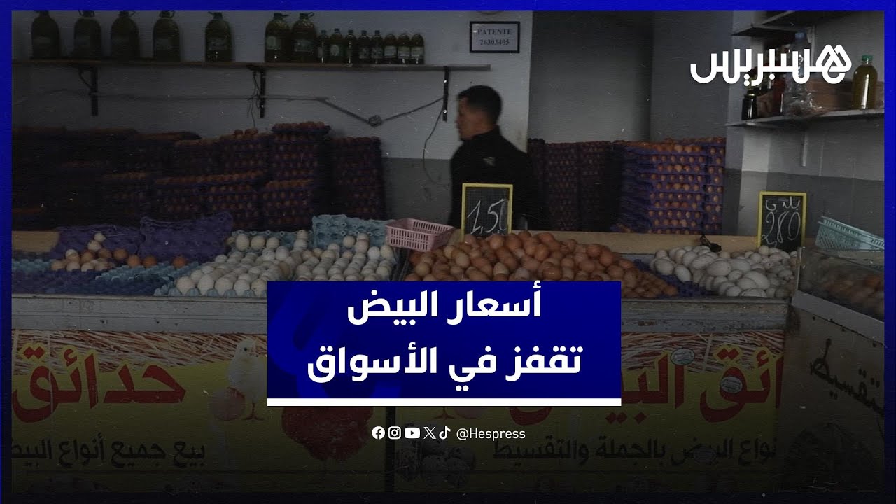 أسعار البيض تقفز في الأسواق.. وتجار يكشفون خلفيات الارتفاع thumbnail