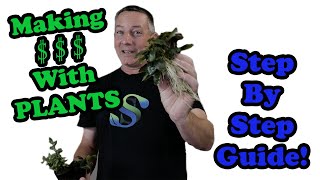 How to Sell Aquarium Plants | EASY Step by Step Guide and Tips! (Proven Results).