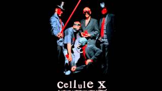 Cellule x - Directive 4