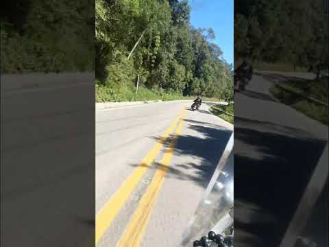 RASTRO DA SERPENTE ATÉ ADRANÓPOLIS-PR