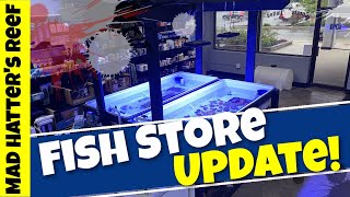 Fish Store Update | One Take Sunday
