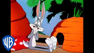 Looney Tunes  Bugs Carrot Mine  Classic Cartoon  W