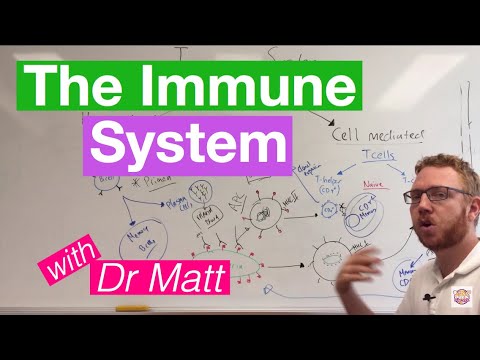 The Immune System: Overview