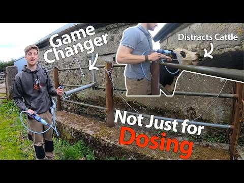 Drenching Cattle Has NEVER BEEN SO EASY!! | Floating Hook