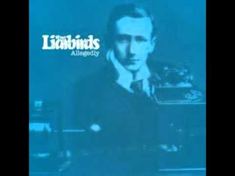 The  Liarbirds - Soul Keeper