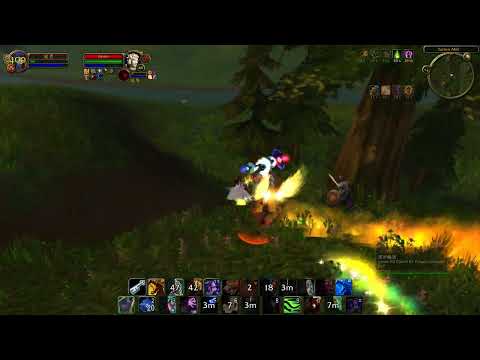 《WotLK Classic》What are the priest and paladin doing?