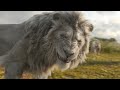 Mufasa The Lion King Bye Bye Greek HD