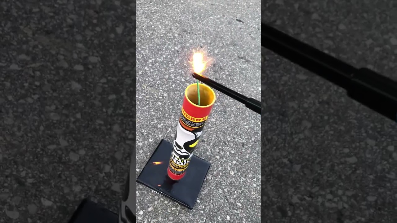 GIANT PANDA 🐼 6in can in the day time 💥🧨‼️ #2023 #fireworks #redapplefireworks #boom #panda #pyro