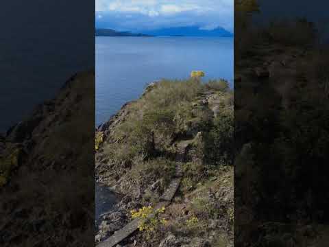 pisada del diablo ya tapada de agua #lake #surdechile #Chile #sur #losrios #lagoranco