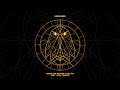 Armin van Buuren & Vini Vici feat. Anna Timofei - Sarabande [Visualizer]