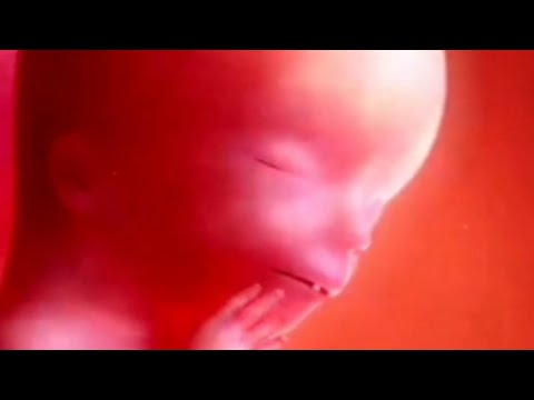 marius sabou - unborn child ( Official Video ) 