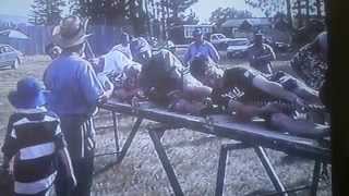 preview picture of video 'Waipiata Sports 1998'