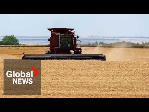 US agriculture industry asks Trump not to back out of CUSMA in new campaign