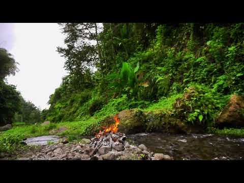 4K UHD Sunset Campfire by the River - 3h Relaxing Crackling Fire & Nature Sounds (High Quality)