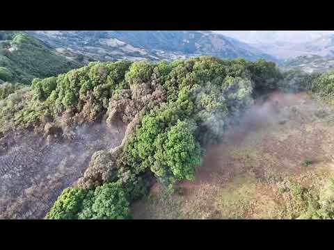 Incendio forestal en San Pedro de Cartago, Nariño. Video: José Luis Cerón
