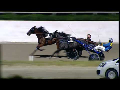 Napoli Trotto 07/07/2023 - 7ª corsa