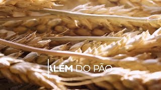 Miniatura do vídeo