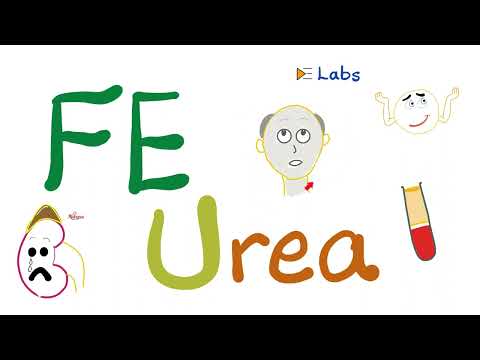 Fractional Excretion of Urea (FEUrea) - Kidney Function Tests - Nephrology Labs