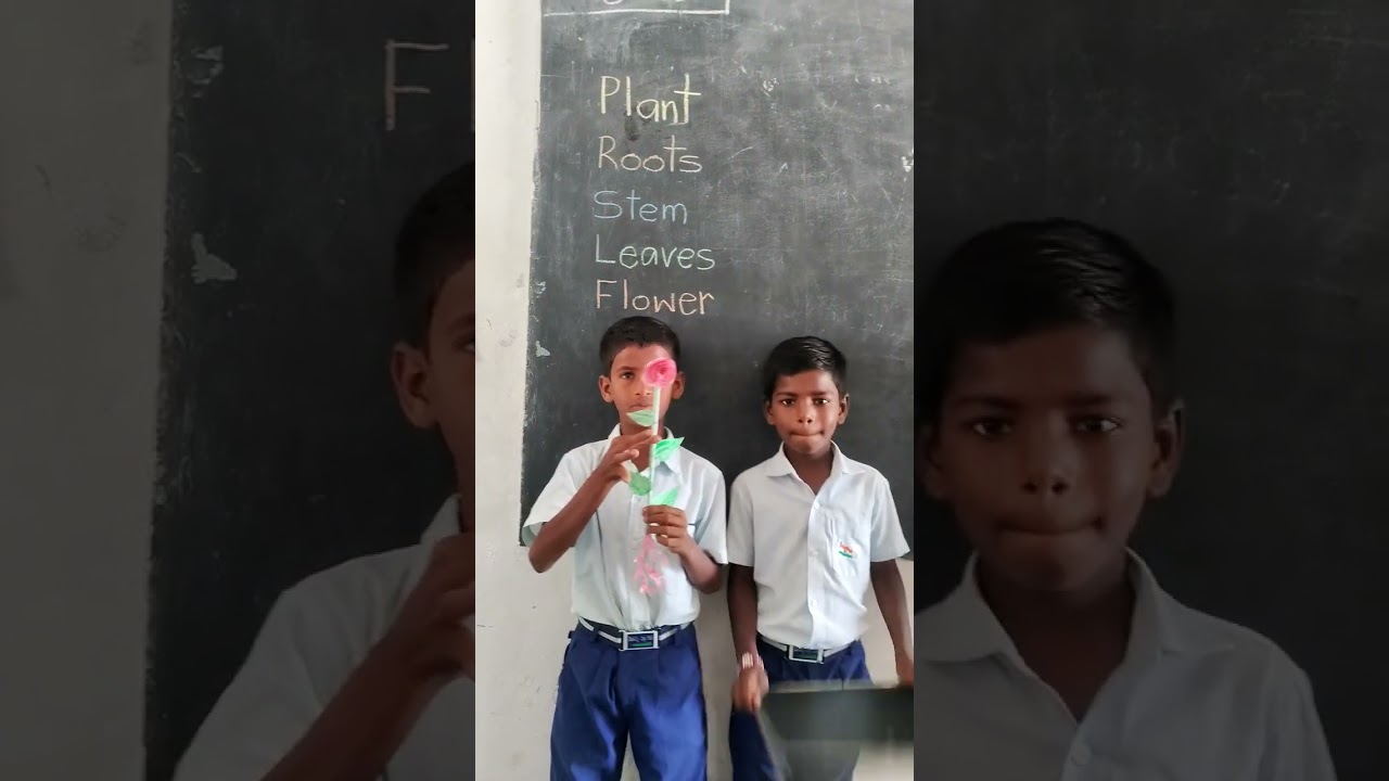 Plant Parts demonstration activity by my students