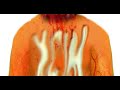 Jr Clip