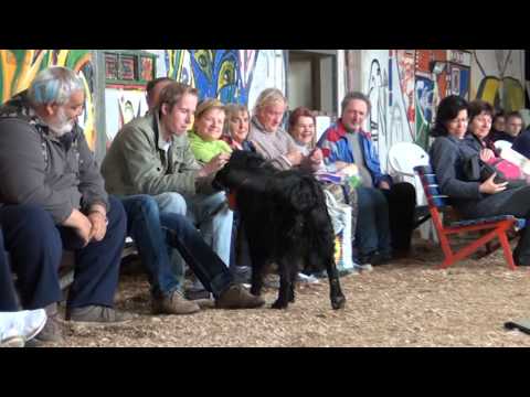 Psychiatrické nemocnice Kosmonosy otevřela brány