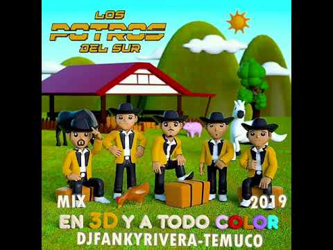 MIX LOS POTROS DEL SUR 2019 DJFANKY TEMUCO